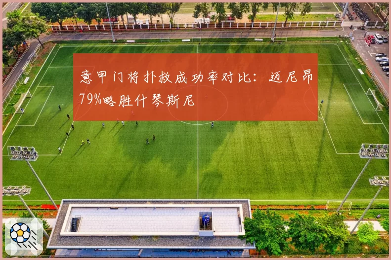 意甲门将扑救成功率对比:迈尼昂79%略胜什琴斯尼