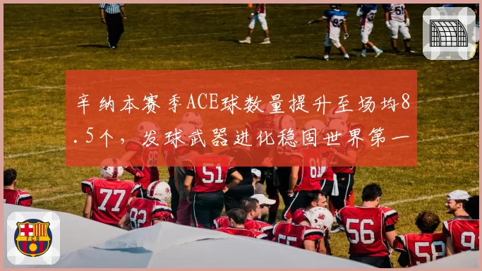 辛纳本赛季ACE球数量提升至场均8.5个,发球武器进化稳固世界第一