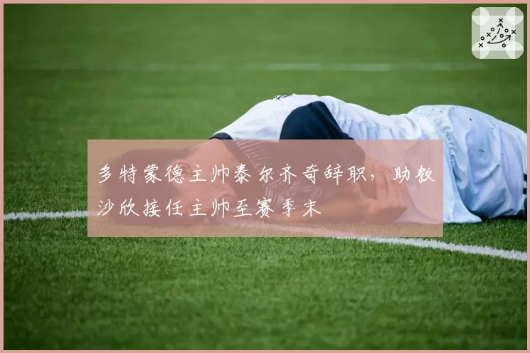 多特蒙德主帅泰尔齐奇辞职,助教沙欣接任主帅至赛季末